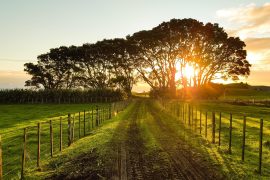 agriturismo a Vigevano