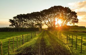 agriturismo a Vigevano