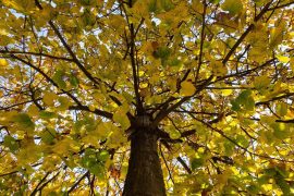 agriturismo a Vigevano