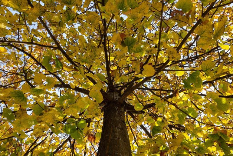 agriturismo a Vigevano